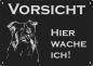 Preview: Aluminium Warnschild Collie VORSICHT Hier wache ich!